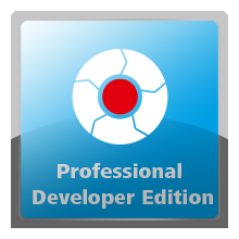 CODESYS Professional Developer Edition (5 Users, Network License)